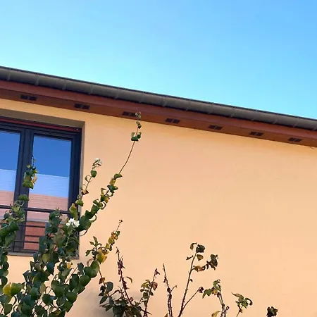 Proche De Colmar * Andolsheim